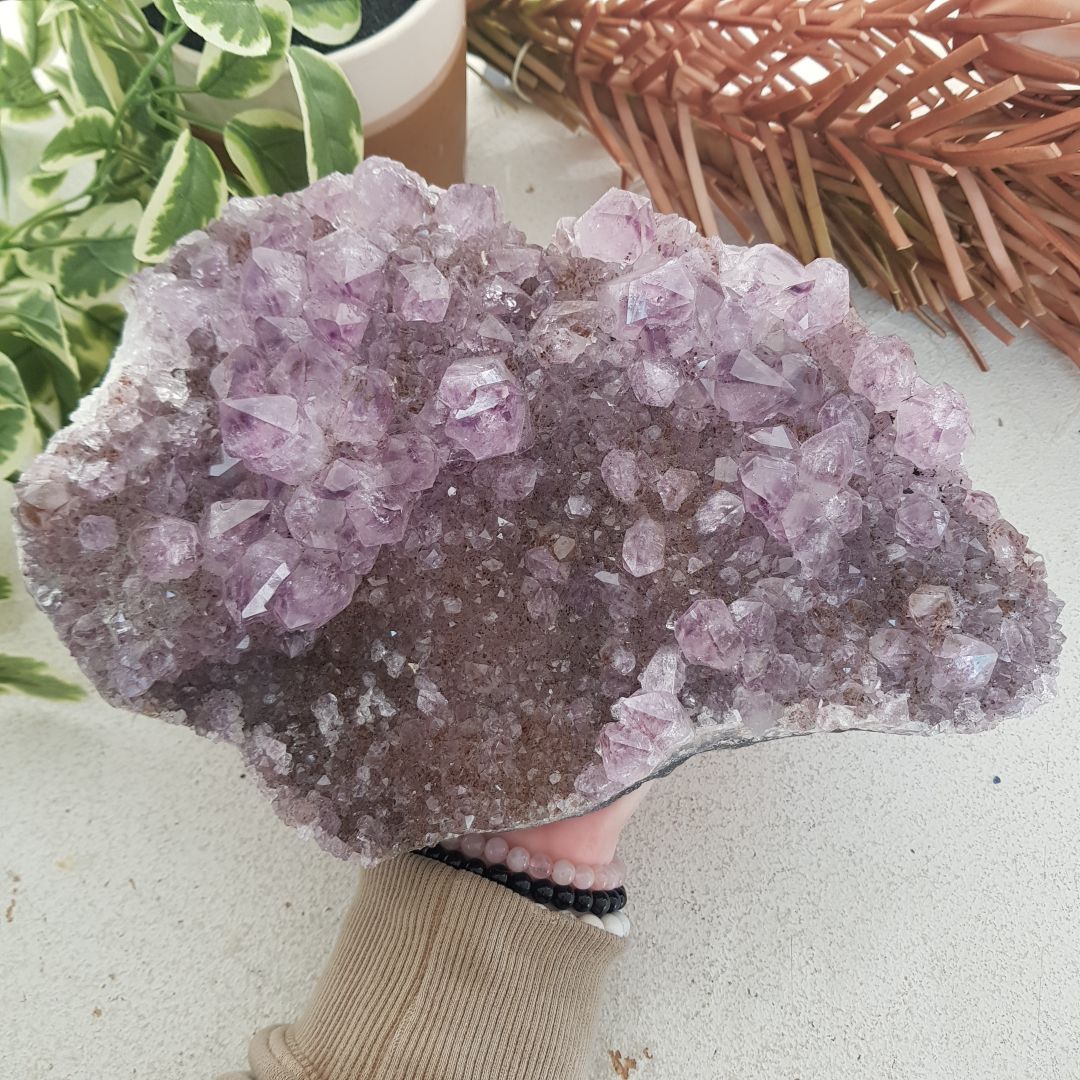 Amethyst Cluster - Large - D Amethyst Cluster - Large - D